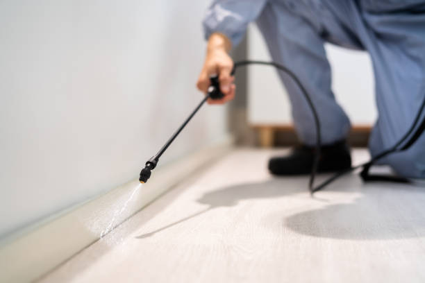 Professional exterminator conducting IPM assessment in Humboldt