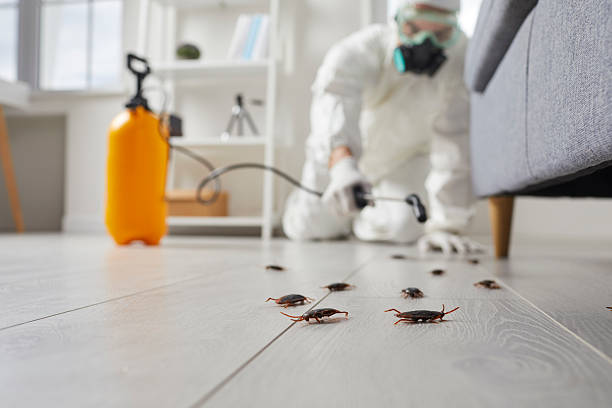 Commercial Rodent Management in Humboldt